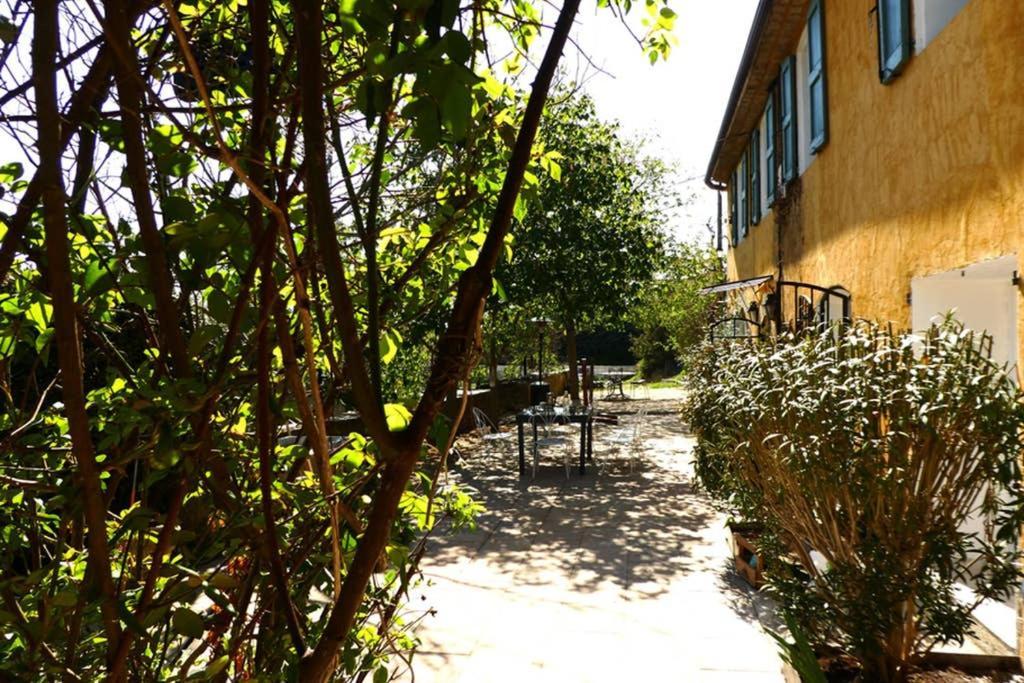 Belle Longere Au Calme - L'Auguste Maison D'Hotes Valensole Exterior photo